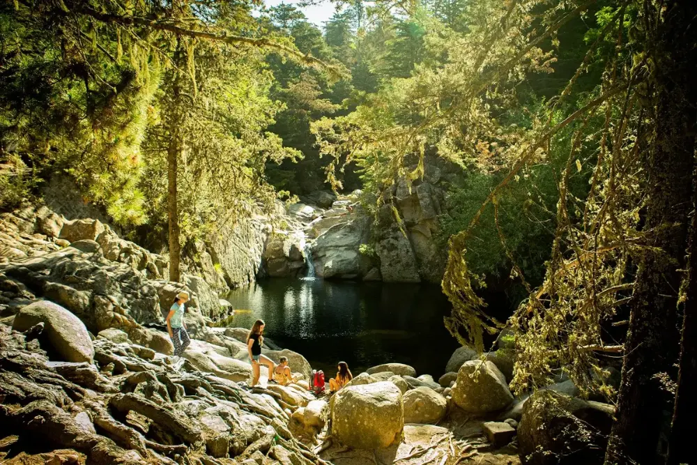 Slide Image